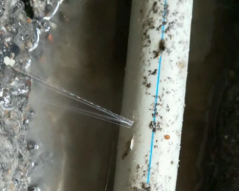 甘肃卫生间测漏水多少钱